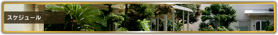 スケジュール